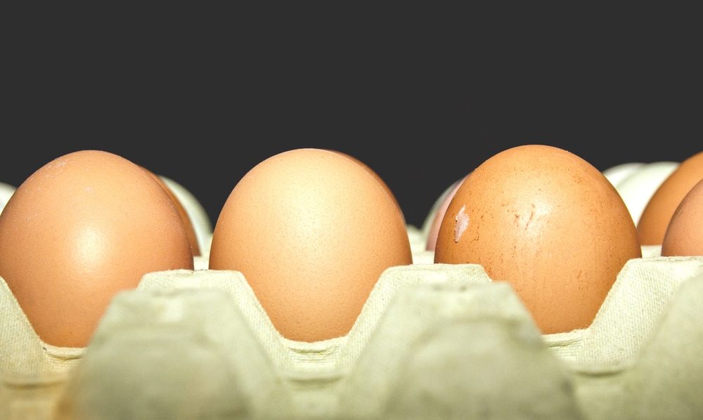 Egg Buying Guide + What Egg a Health Coach Chooses